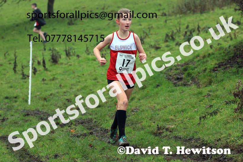 Girls under-13s 2023 NECAA Cross Country Relays, Thornley Hall Farm, Peterlee, County Durham. Photo: David T. Hewitson/Sports for All Pics